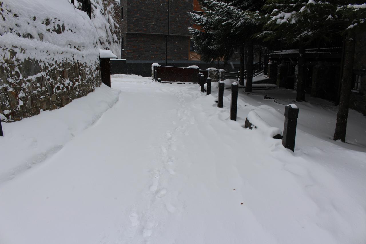Ski Andorra Tarter Chalet Lodge Эл Тартер Экстерьер фото